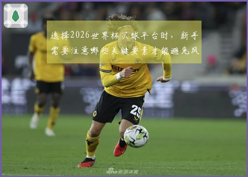 选择2026世界杯买球平台时，新手需要注意哪些关键要素才能避免风险和误区
