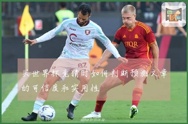 买世界杯竞猜时如何判断预测文章的可信度和实用性