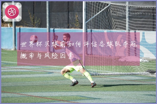 世界杯买球前如何评估各球队夺冠概率与风险因素