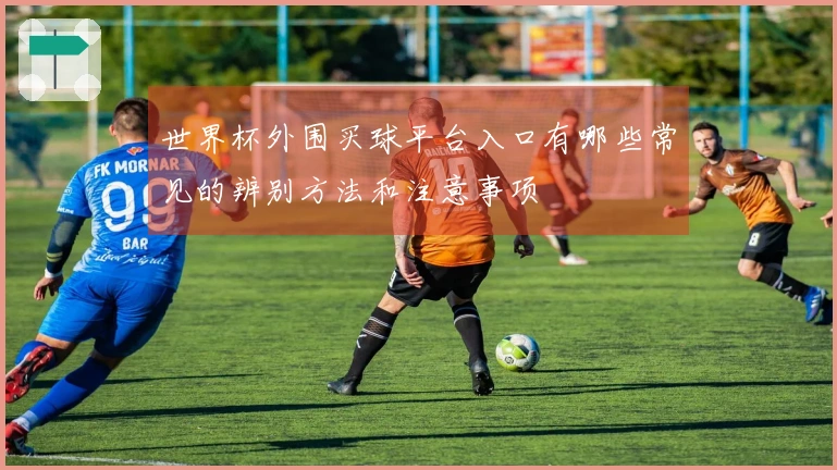 世界杯外围买球平台入口有哪些常见的辨别方法和注意事项