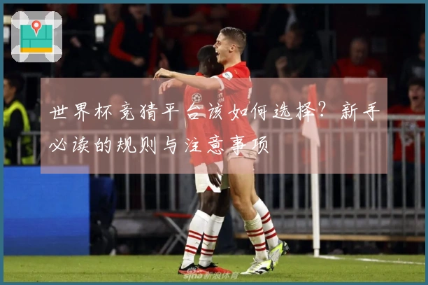 世界杯竞猜平台该如何选择？新手必读的规则与注意事项