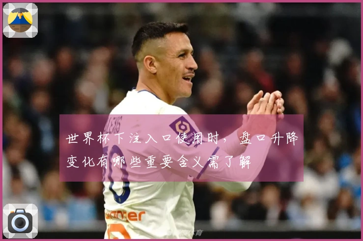 世界杯下注入口使用时，盘口升降变化有哪些重要含义需了解