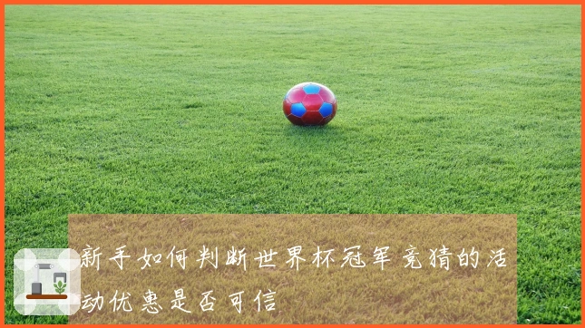新手如何判断世界杯冠军竞猜的活动优惠是否可信