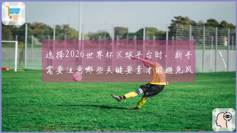 选择2026世界杯买球平台时，新手需要注意哪些关键要素才能避免风险和误区