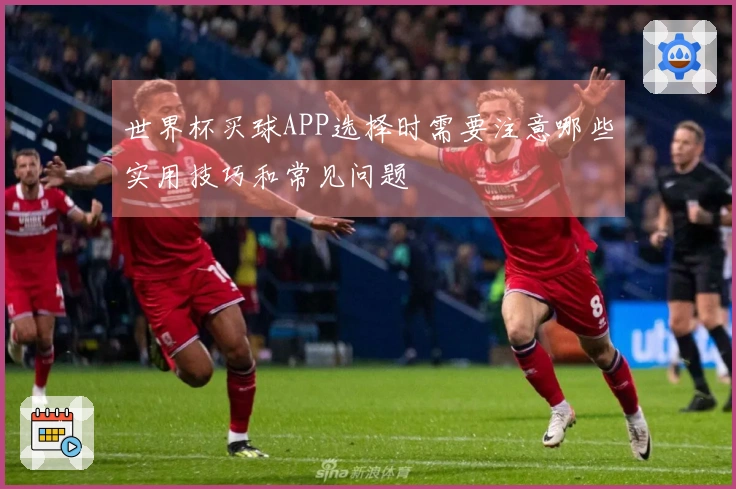 世界杯买球APP选择时需要注意哪些实用技巧和常见问题