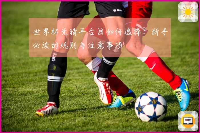世界杯竞猜平台该如何选择？新手必读的规则与注意事项