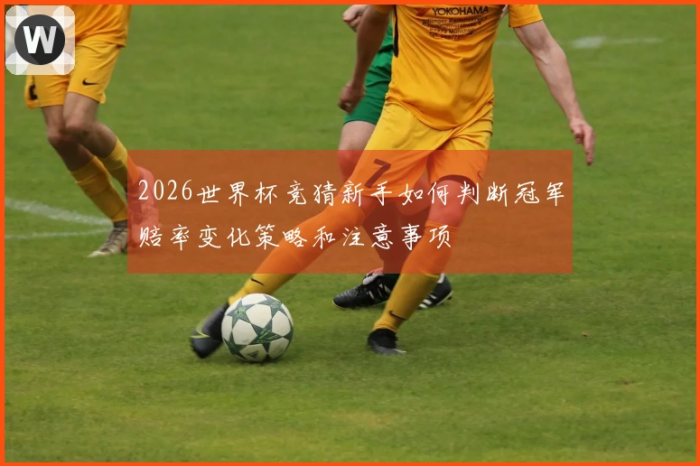 2026世界杯竞猜新手如何判断冠军赔率变化策略和注意事项