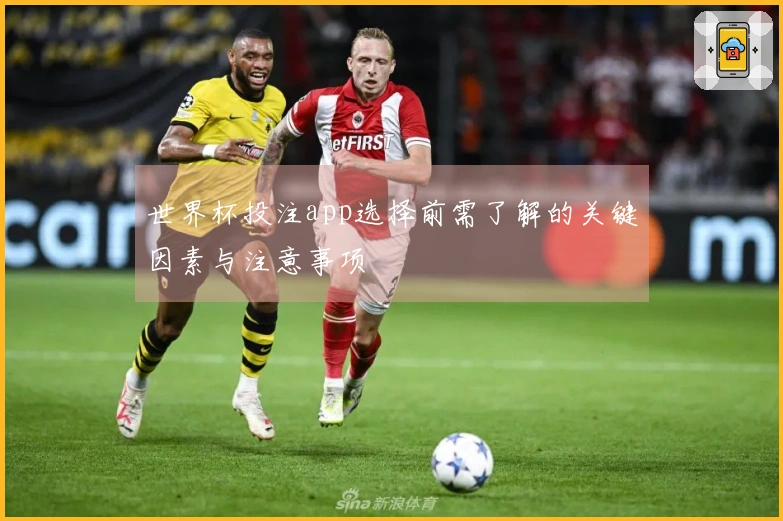 世界杯投注app选择前需了解的关键因素与注意事项