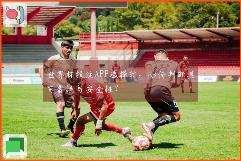 世界杯投注APP选择时，如何判断其可靠性与安全性？