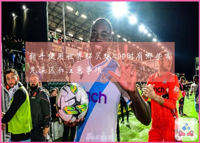 新手使用世界杯买球app时有哪些常见误区和注意事项