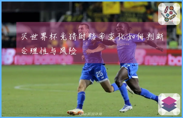 买世界杯竞猜时赔率变化如何判断合理性与风险