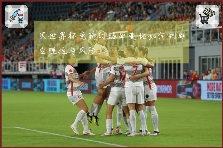买世界杯竞猜时赔率变化如何判断合理性与风险