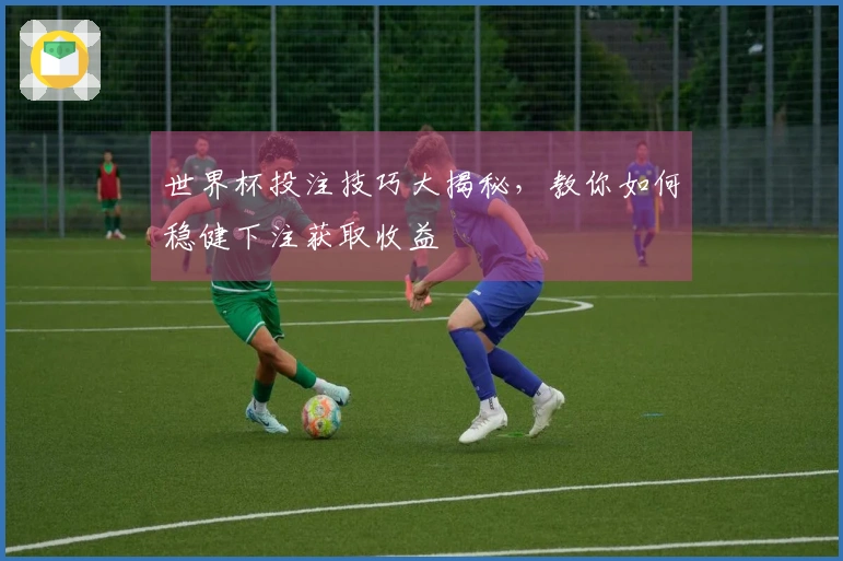 世界杯投注技巧大揭秘，教你如何稳健下注获取收益