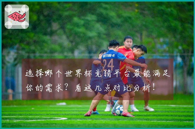选择哪个世界杯竞猜平台最能满足你的需求？看这几点对比分析！