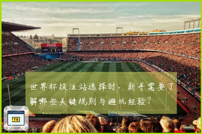 世界杯投注站选择时，新手需要了解哪些关键规则与避坑经验？