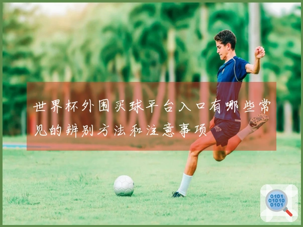 世界杯外围买球平台入口有哪些常见的辨别方法和注意事项