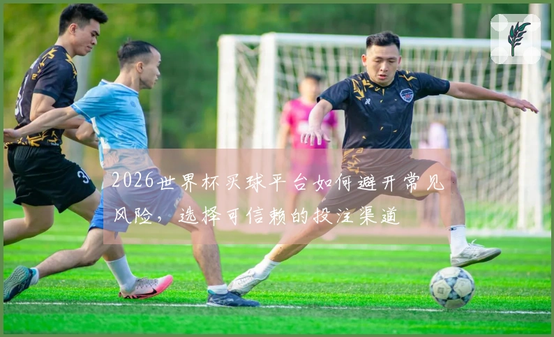 2026世界杯买球平台如何避开常见风险，选择可信赖的投注渠道